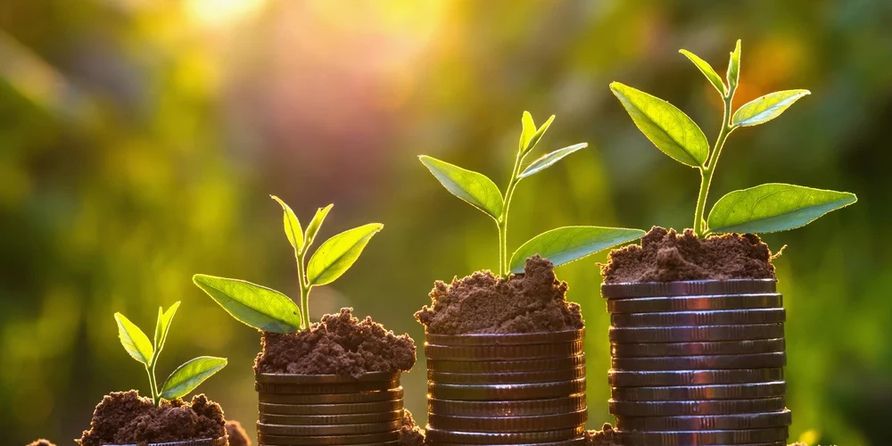 Eiropas Savienības finansējumu uzņēmējdarbības zaļināšanai prioritāri varēs saņemt projekti novados.