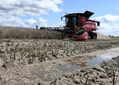 Латвийские фермеры не ждут в этом году хорошего урожая. В чем проблема?