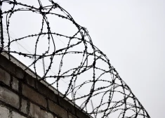 Vīrietim piespriež gadu cietumā par draudēšanu policijai ar gāzes ieroci un neesošu spridzekli