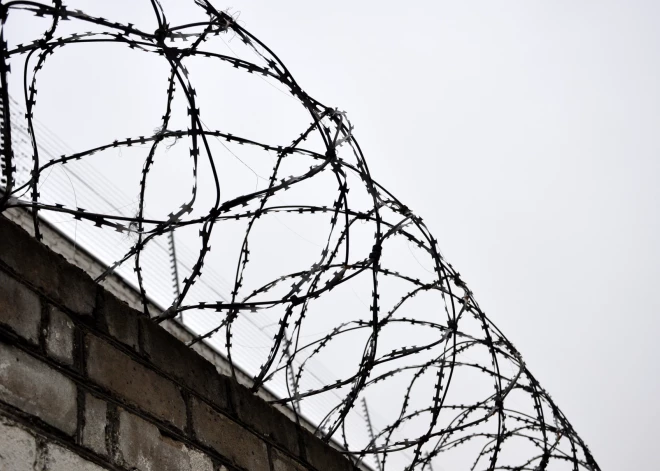 Vīrietim piespriež gadu cietumā par draudēšanu policijai ar gāzes ieroci un neesošu spridzekli