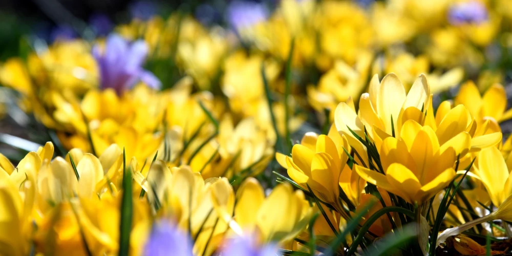 Trešdien mākoņi izklīdīs.