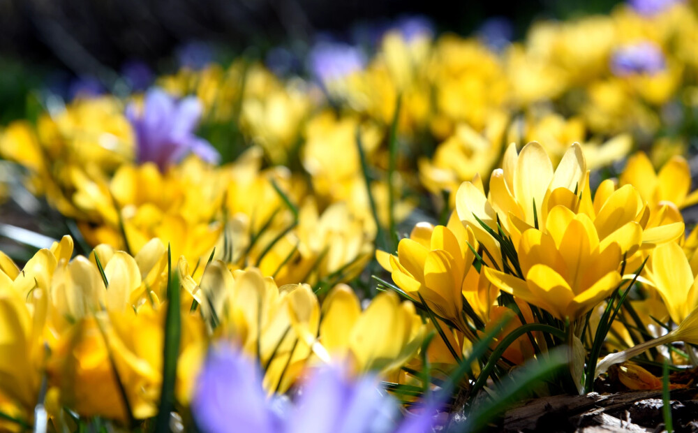 Debesis beidzot skaidrosies. Laikapstākļu prognoze trešdienai