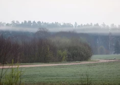 В среду ожидается более солнечная погода