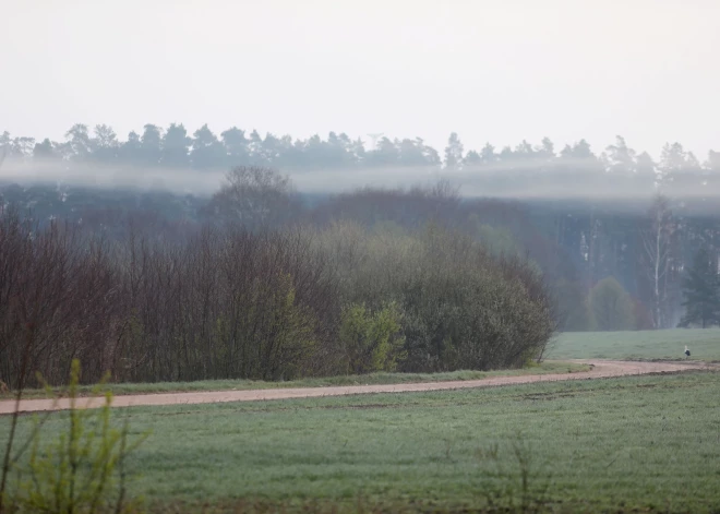 В среду ожидается более солнечная погода