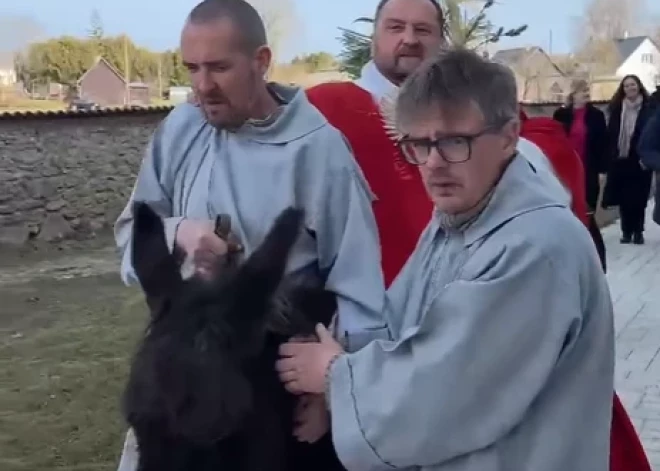 Ļaudis satraukti: vai ēzelīša mugurkauls pārcietis branga mācītāja jāšanu Lieldienu rituālā Skaistkalnē?