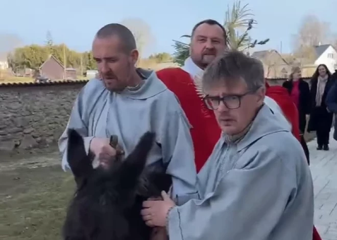 Ļaudis satraukti: vai ēzelīša mugurkauls pārcietis branga mācītāja jāšanu Lieldienu rituālā Skaistkalnē?