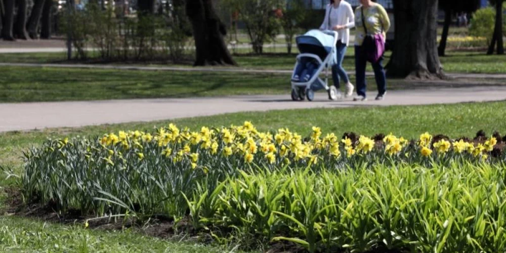 Nākamnedēļ Latvijā kļūs ievērojami siltāks.