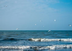 В среду нас ждет солнечная погода с холодным ветром
