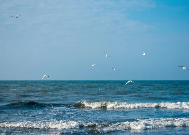 В среду нас ждет солнечная погода с холодным ветром