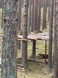 Daļa carnikaviešu sašutuši, ka vietējie resgaļi viņu iemīļoto pastaigu taku pārvērtuši par kaujas lauku.