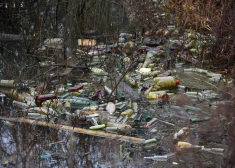 Активисты обнаружили, что некоторые жители Латвии по-прежнему занимаются на природе одним нехорошим делом