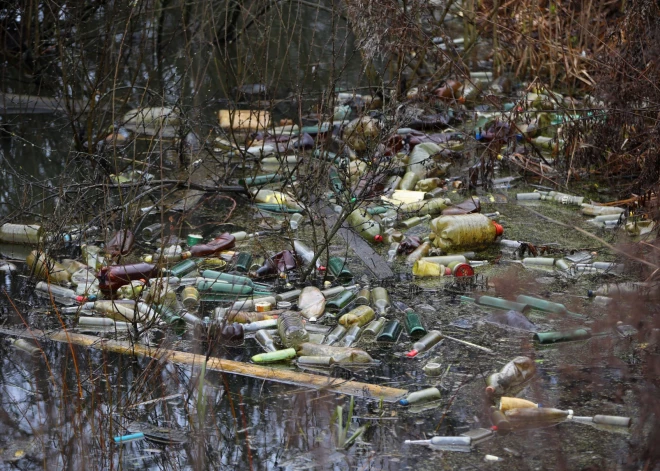 Активисты обнаружили, что некоторые жители Латвии по-прежнему занимаются на природе одним нехорошим делом