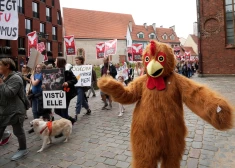 Битва за кур: в борьбе против крупнейшей птицефабрики Латвии зооактивисты готовы преступить закон