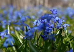 Температура воздуха в четверг не превысит +8 градусов