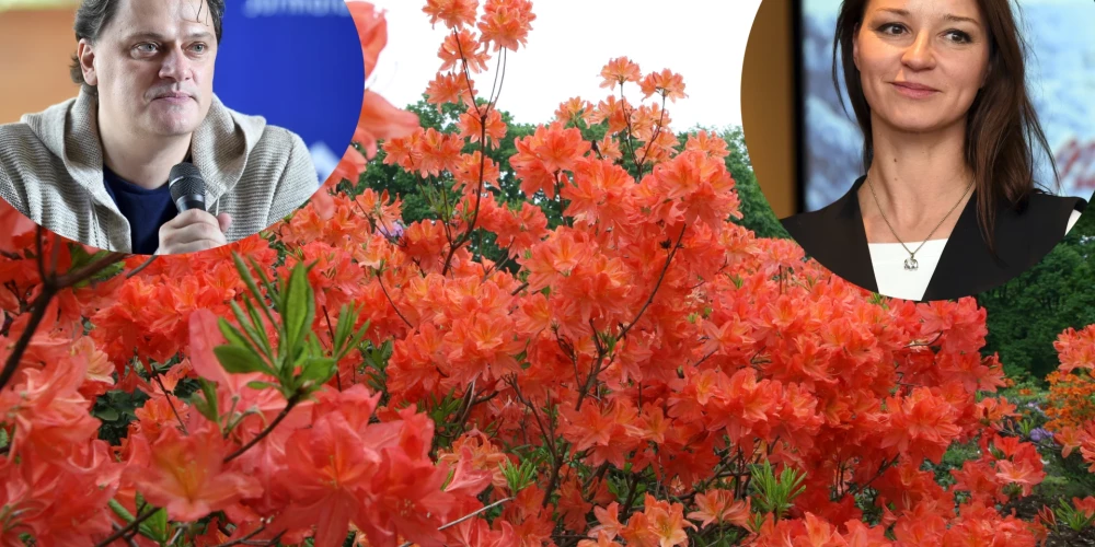 Антоненко и Наумова выступят среди цветущих рододендронов.