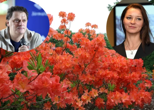 Антоненко и Наумова выступят среди цветущих рододендронов.