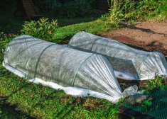 Kādus dārza darbus sākt jau aprīlī? Māca dārzkopības eksperte Solvita Zeipiņa