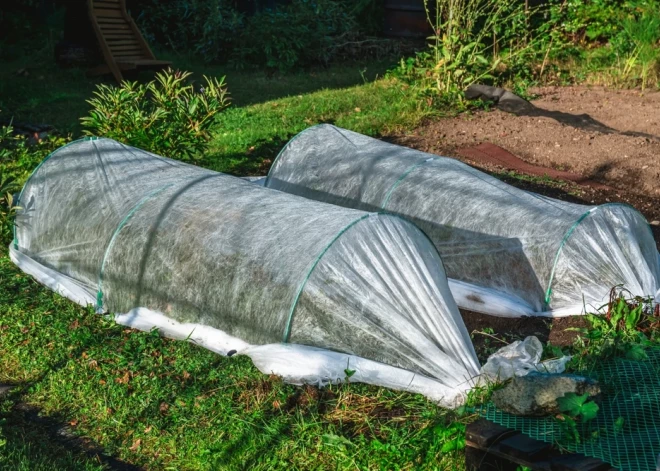 Kādus dārza darbus sākt jau aprīlī? Māca dārzkopības eksperte Solvita Zeipiņa