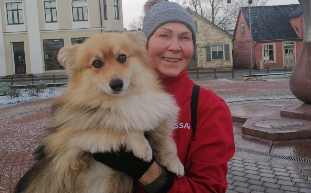 Saldeniece Ērika Šingireja lolo pūkaino korgiju no Harkivas: 