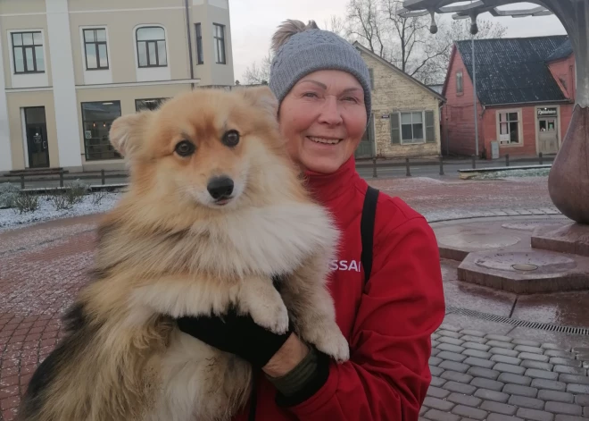 Saldeniece Ērika Šingireja lolo pūkaino korgiju no Harkivas: "Es gribēju draudziņu..."