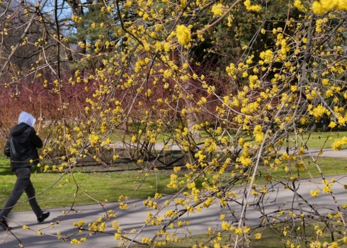 Иллюстративное фото.