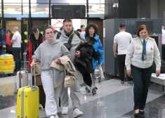 Negaidīti! Iebraucot šajās valstīs, var pārbaudīt jūsu telefonu