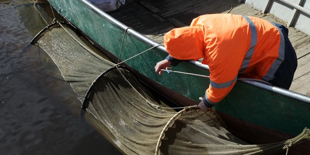 Иллюстративное фото.