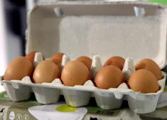 Divas olas nedēļā? Eksperti skaidro, kā patiesībā ir ar holesterīnu un olu ēšanu