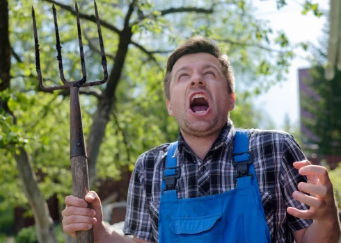 Иллюстративное фото.