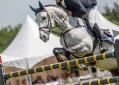 В Латвии этим летом впервые пройдет этап Кубка мира по конкуру