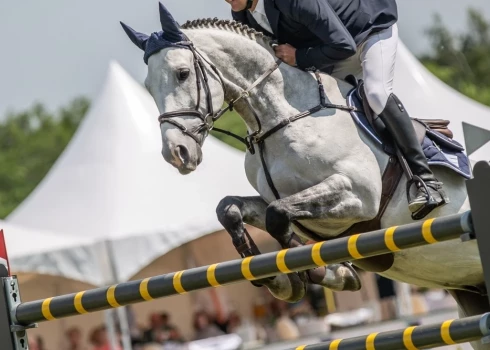 Соревнования по конкуру (concours hippique) впервые были проведены во Франции в середине XIX века.