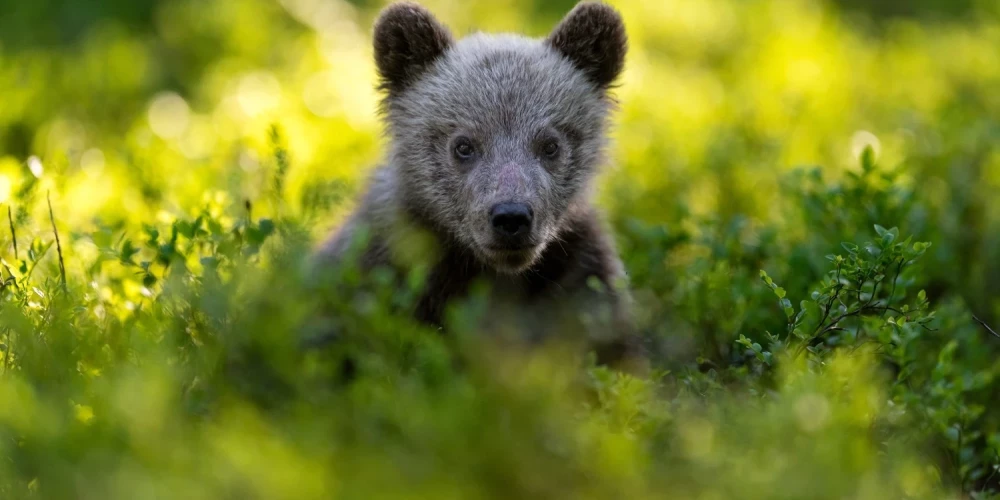 Иллюстративное фото.