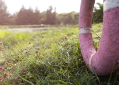 Daugavpilī top jauna vieta vasaras atpūtai pie ezera