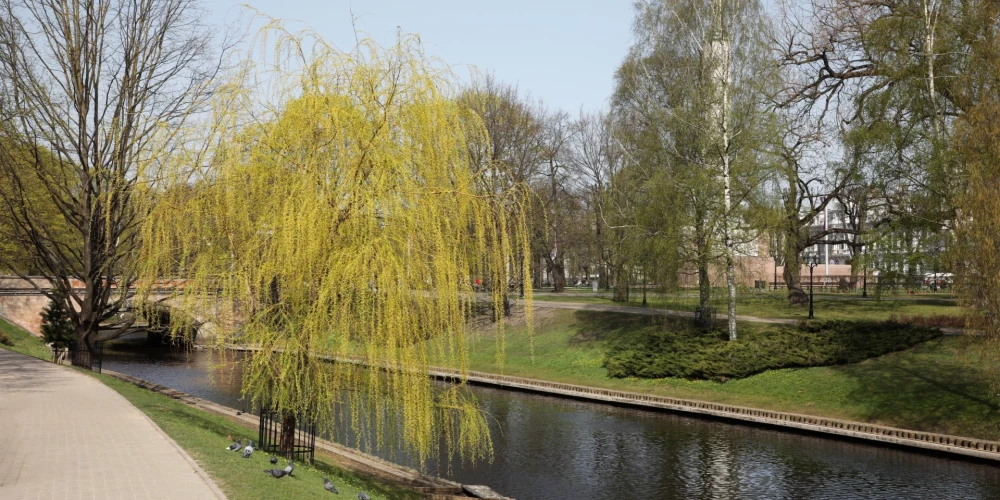 Иллюстративное фото.