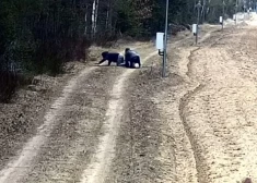 Viņi burtiski iznira no zemes... Lietuvā nelegālie migranti pamanās iekļūt valstī pa slepenu tuneli. VIDEO