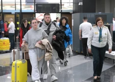 Неожиданно! При въезде в эти страны могут проверить ваш телефон