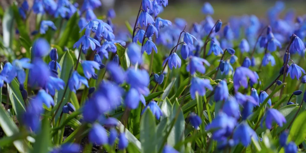 Иллюстративное фото.