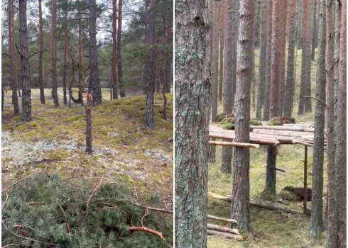 Palaidnības vai vandālisms? Carnikavā izceļas strīds par bērnu izdarībām dabas parkā.