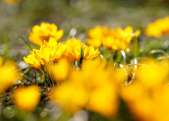 Pēc aukstas nakts Latvijā gaidāma patīkami silta pirmdiena