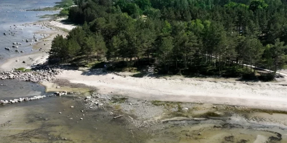 Иллюстративное фото.