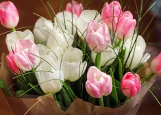 Šonedēļ populārākie vārdi – Laura un Rūdolfs