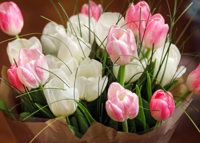 Šonedēļ populārākie vārdi – Laura un Rūdolfs