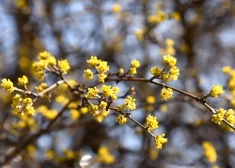 Во вторник воздух прогреется до +16 градусов