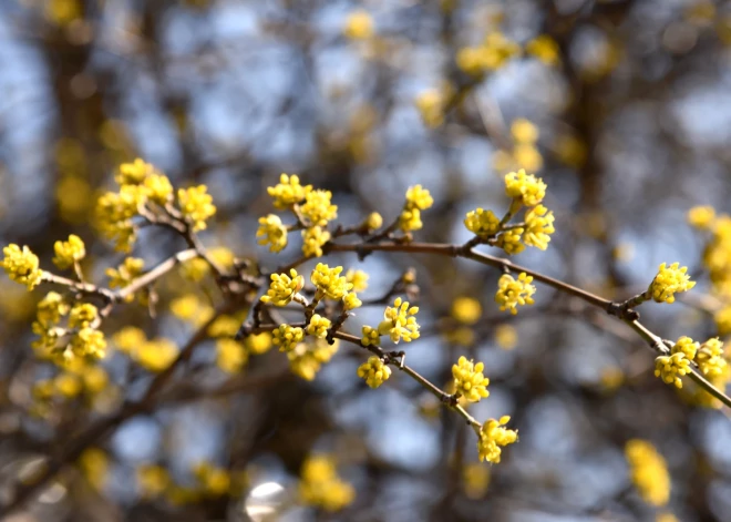 Во вторник воздух прогреется до +16 градусов