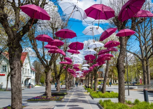 В Огре живет предприимчивый народ - все ушли делать дела.