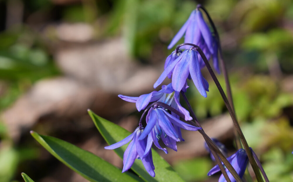 Otrdien gaiss iesils līdz +16 grādiem