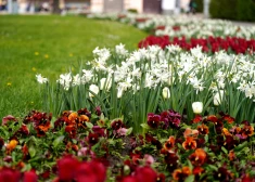 Otrdien laikapstākļus Latvijā noteiks anticiklons, gaiss iesils līdz +16 grādiem