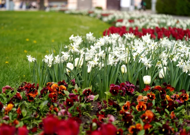 Во вторник температура воздуха поднимется до +16 градусов