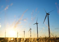 Латвийский министр заявил, что век ископаемого топлива закончился. Теперь страну заставят ветрогенераторами