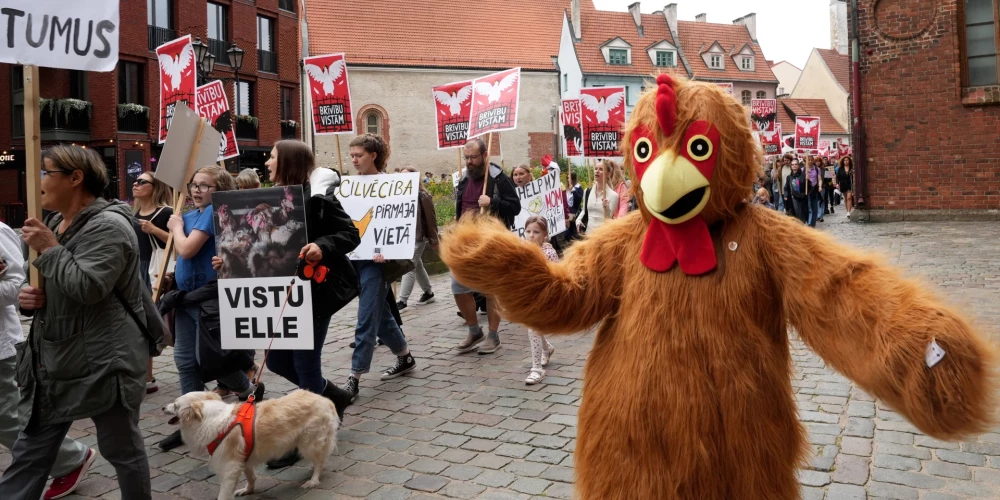 Защитники животных регулярно проводят акции протеста.
